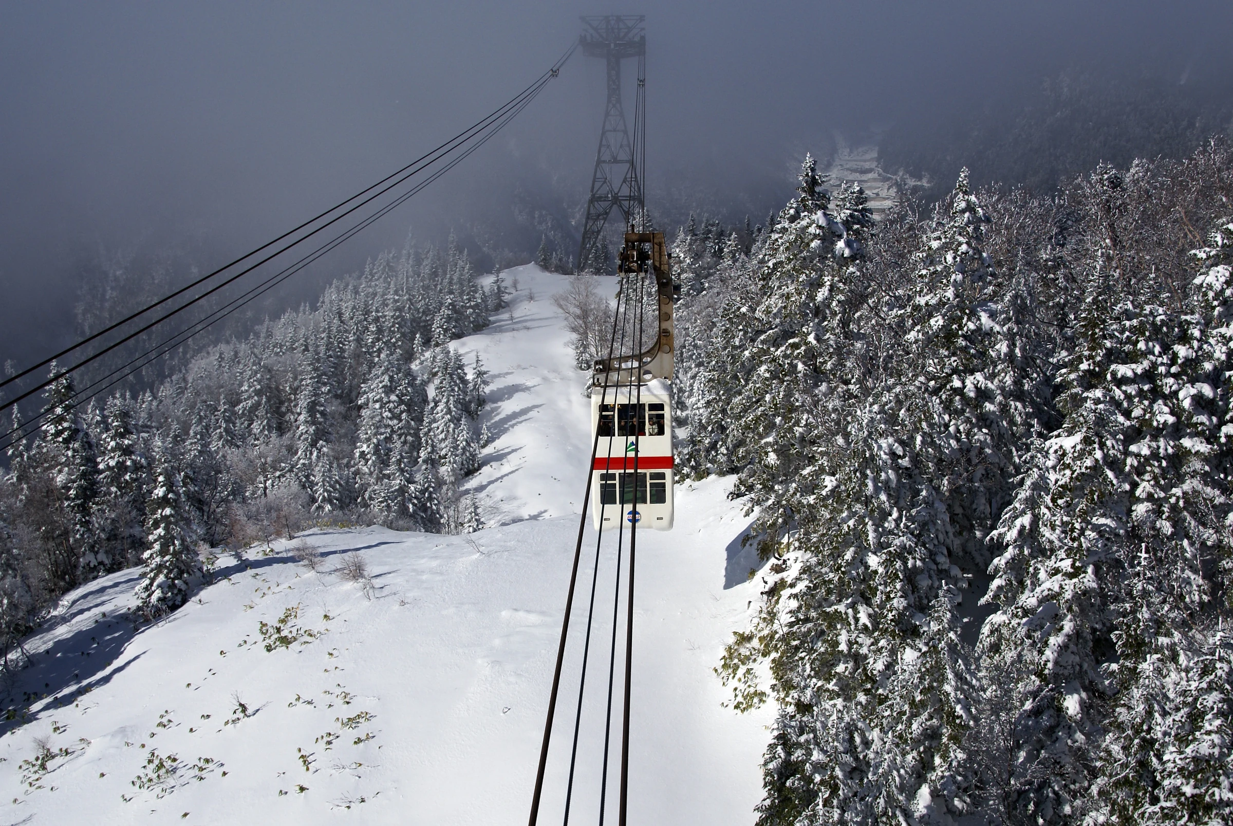 Shinhotaka’s double-decker gondola rises above snowy trees